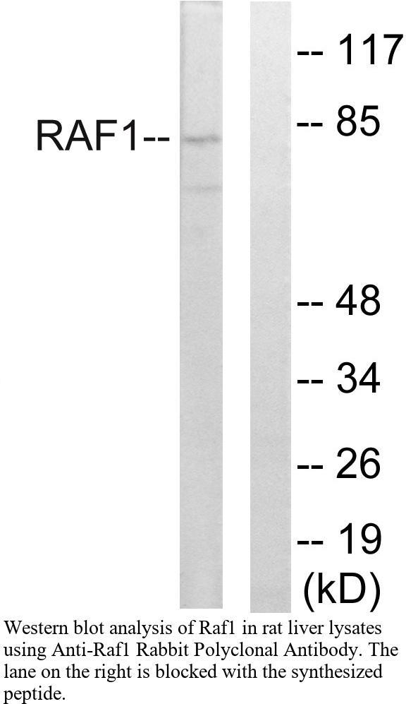 生物相关数据
