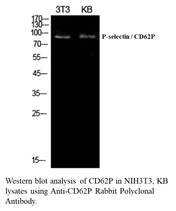 生物相关数据