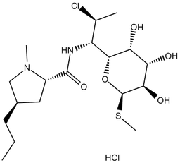 Clindamycin HCl