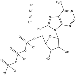 8-Azido-ATP