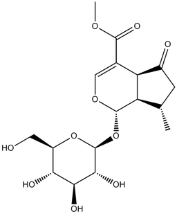 Verbenalinp