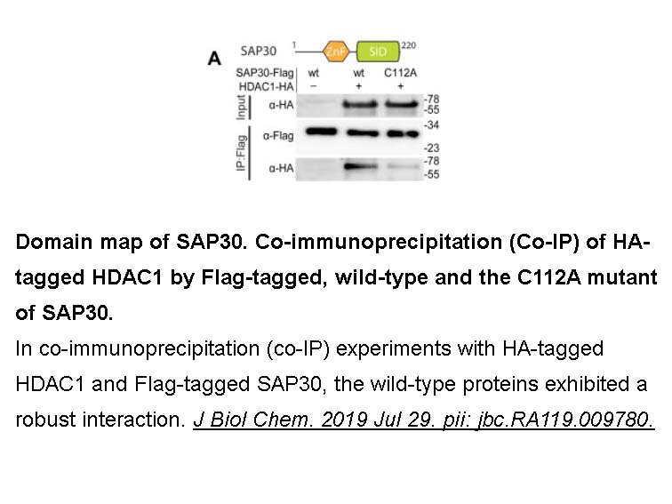 FLAG tag Peptide