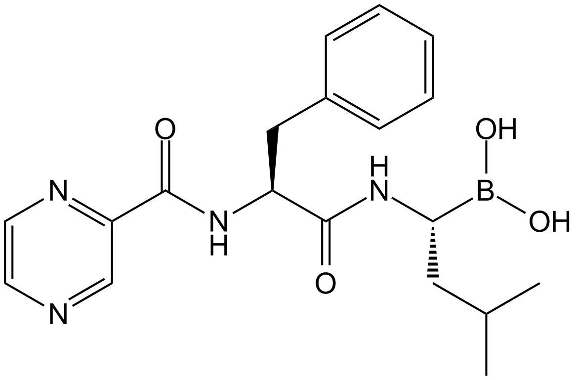 Bortezomib (PS-341)