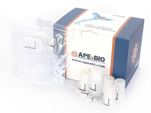 ApexPrep DNA Plasmid Miniprep Kit