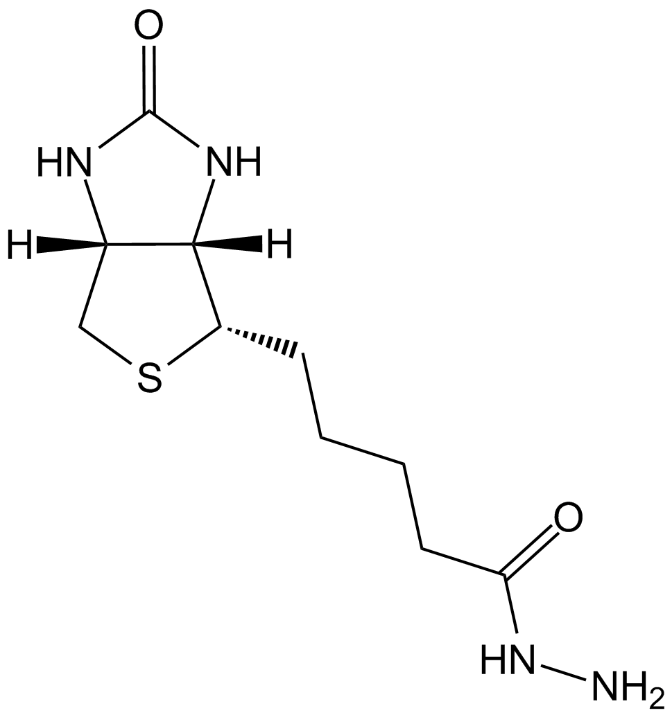 Biotin Hydrazide