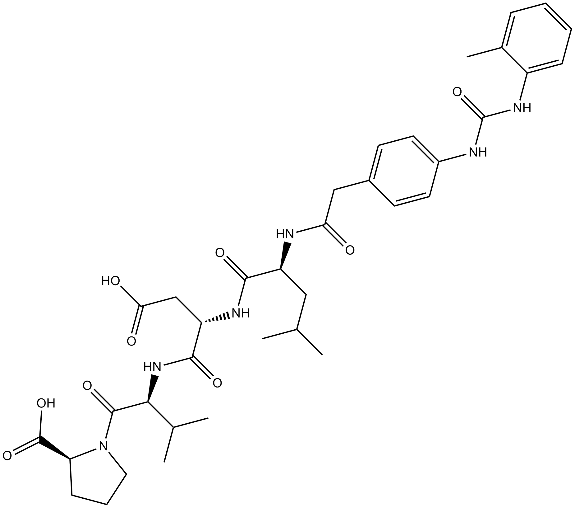 BIO 1211