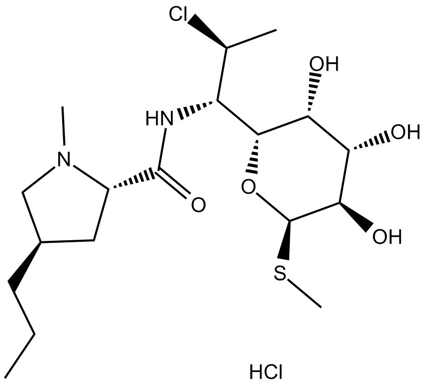 Clindamycin HCl