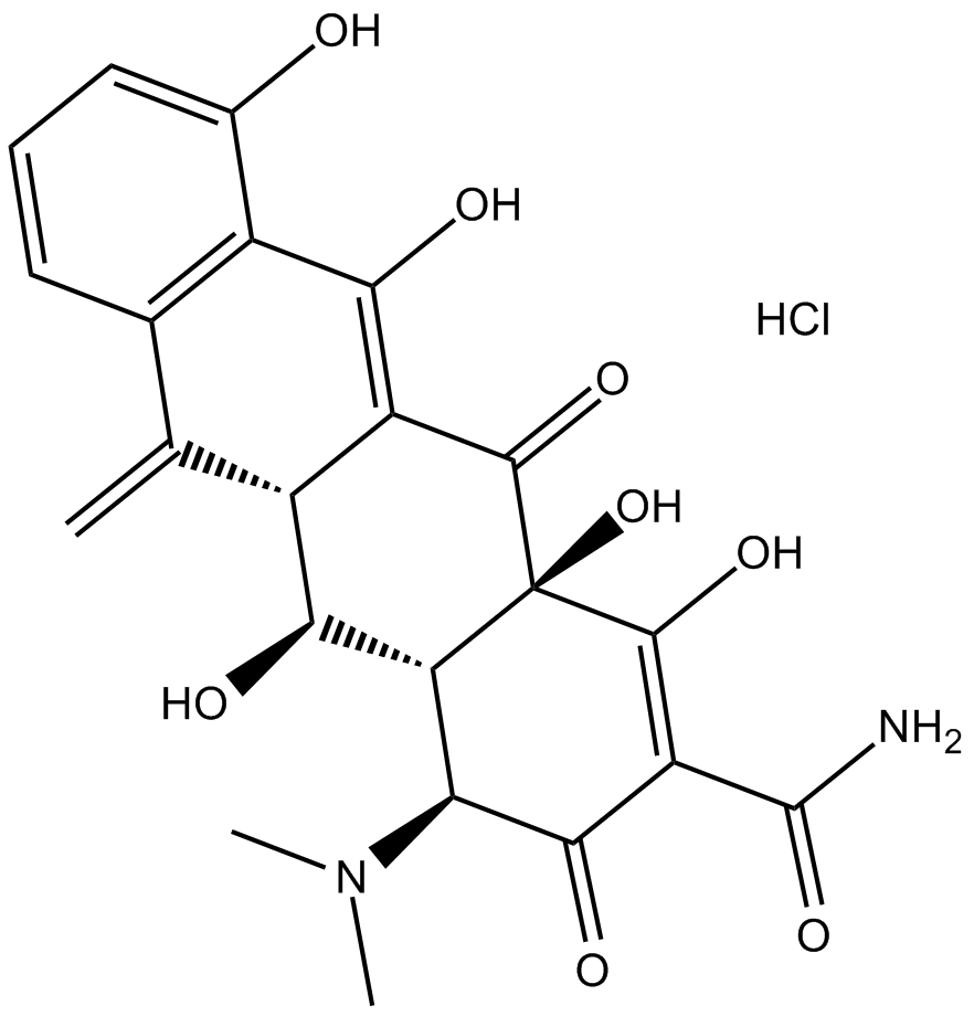 Methacycline HCl