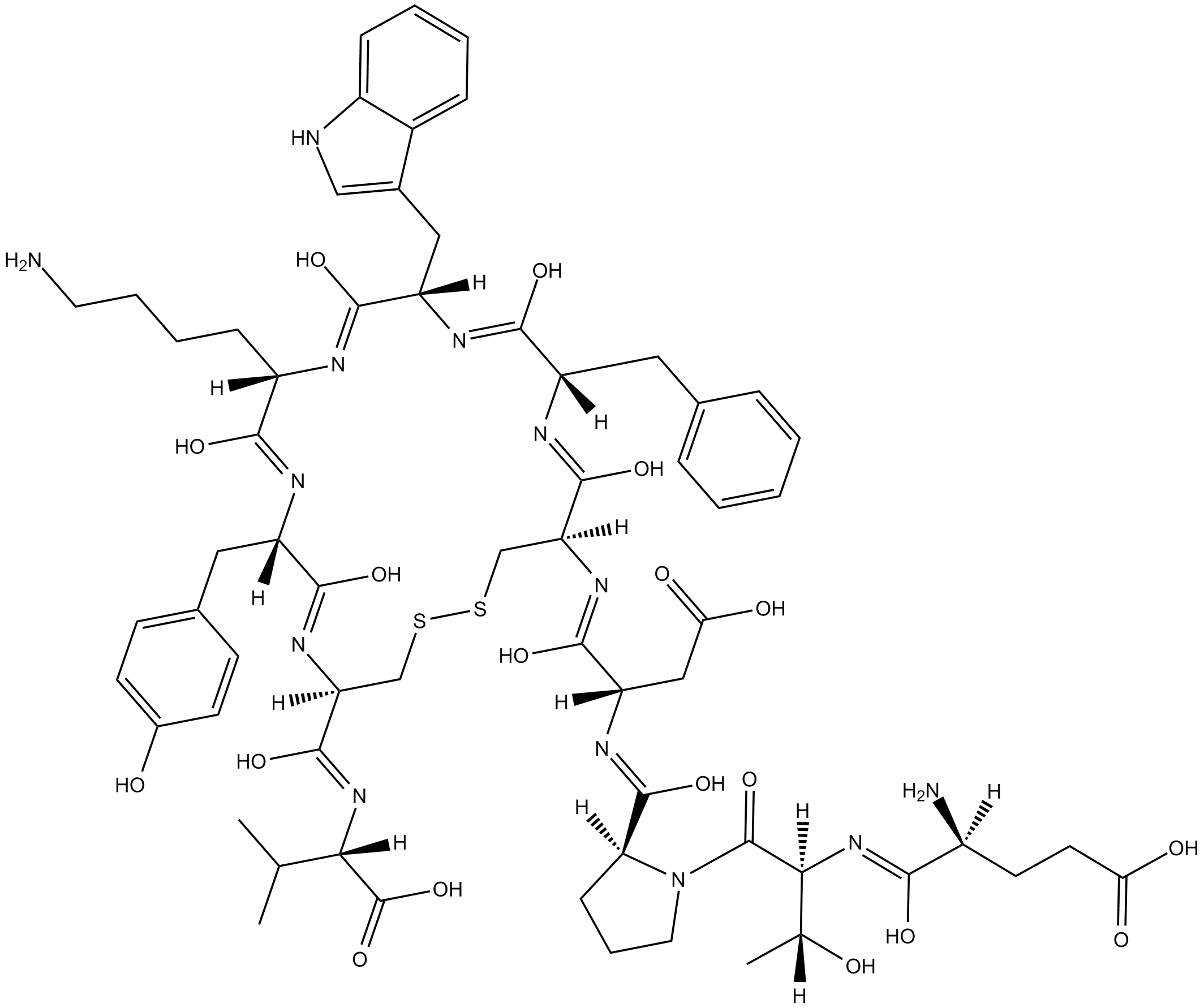 Urotensin II (human)