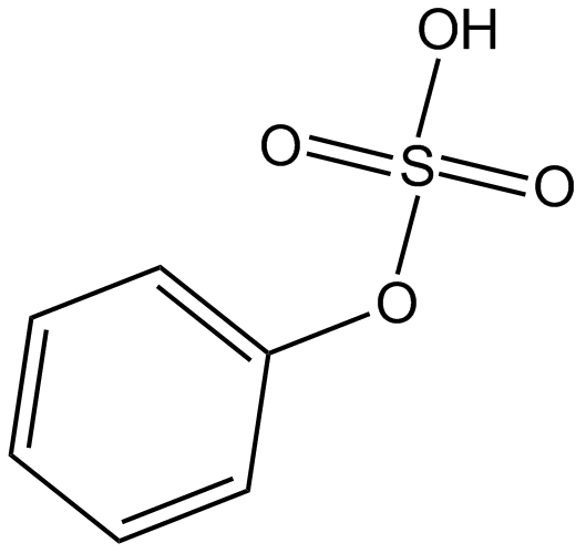Phenyl sulfate