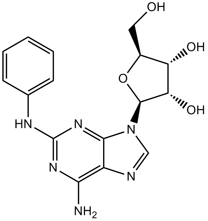 CV 1808