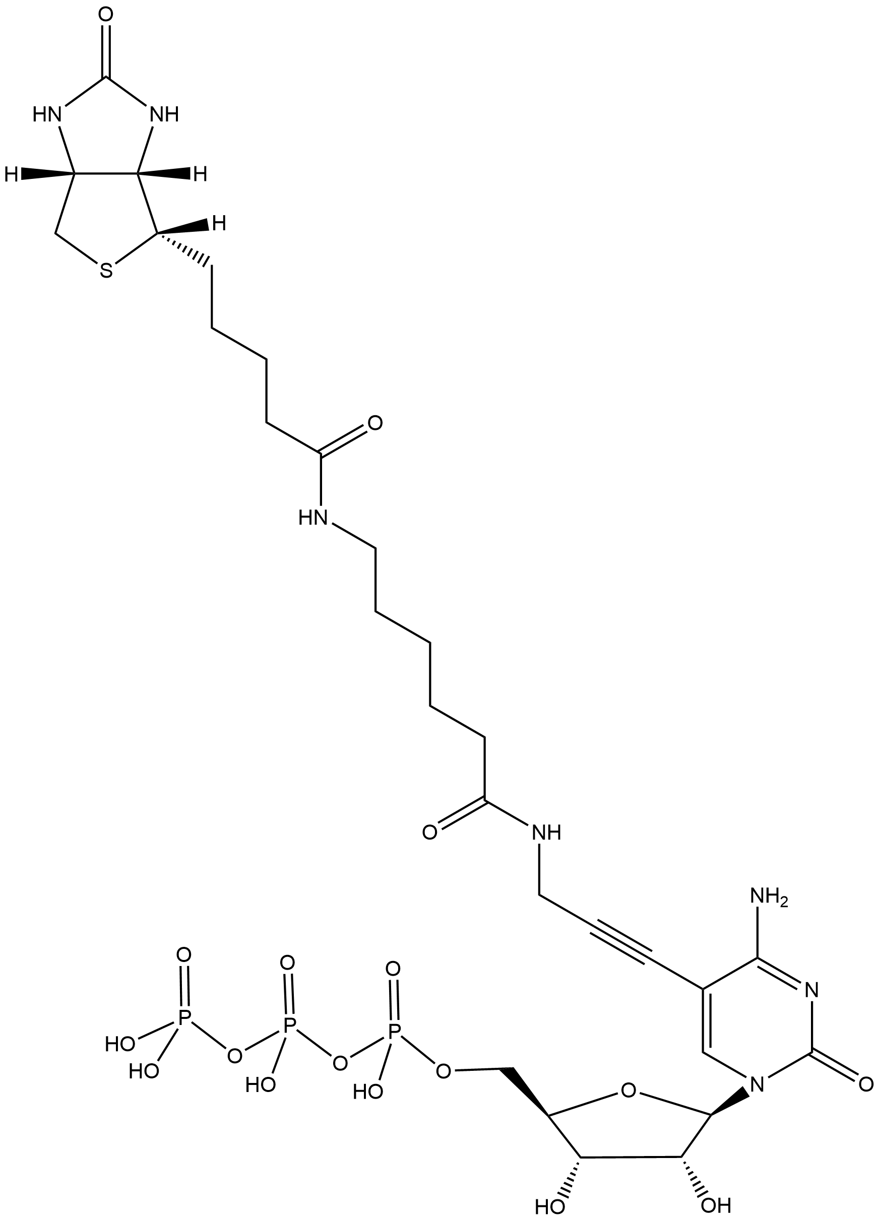 Biotin-11-CTP