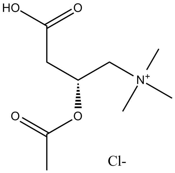 L-Acetylcarnitine (hydrochloride)
