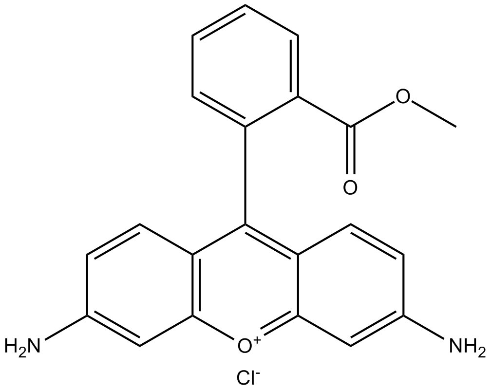 Rhodamine 123 (chloride)