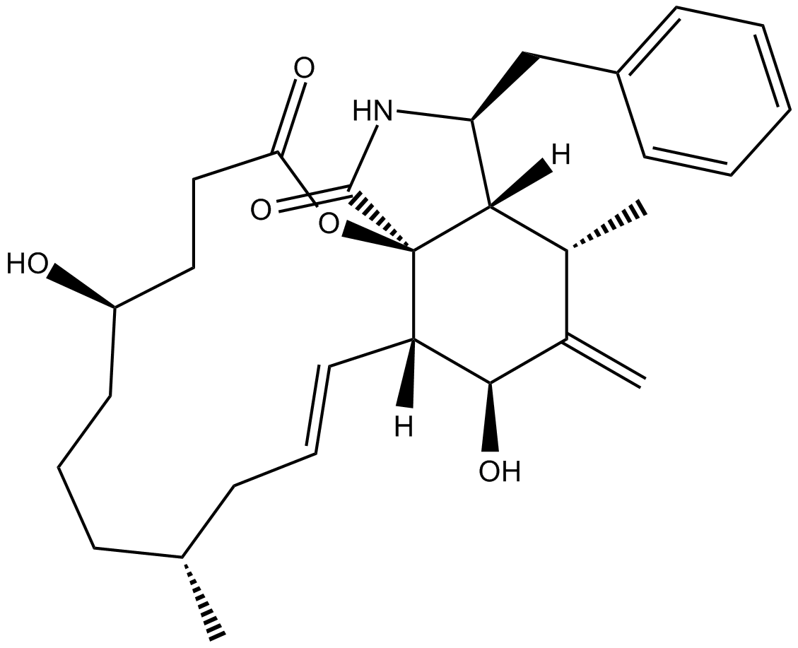 Dihydrocytochalasin B