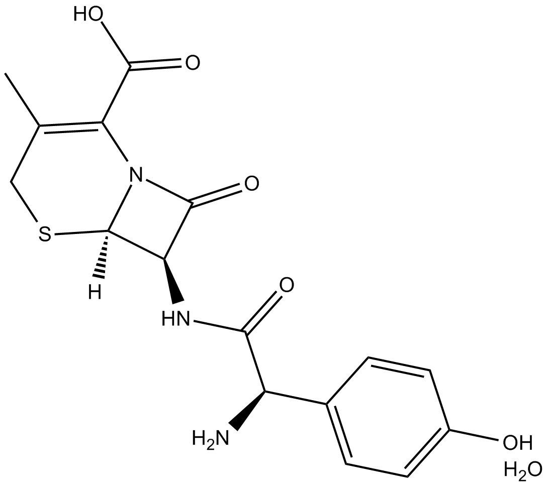 Cefadroxil (hydrate)