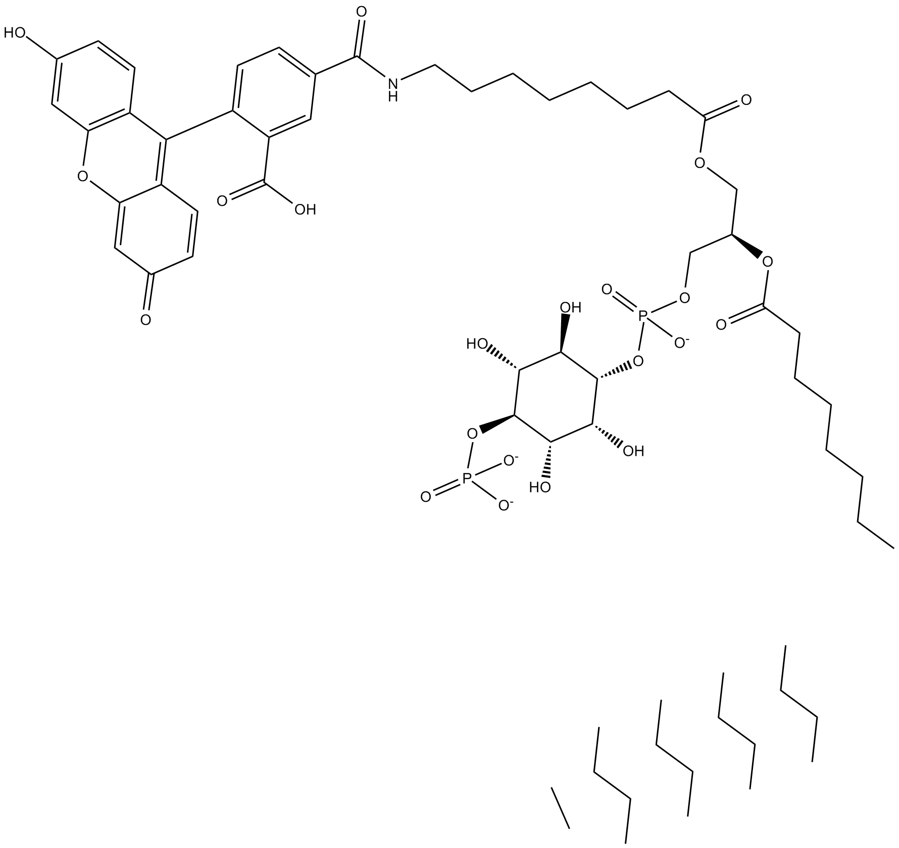 PtdIns (4)-P1-fluorescein (ammonium salt)
