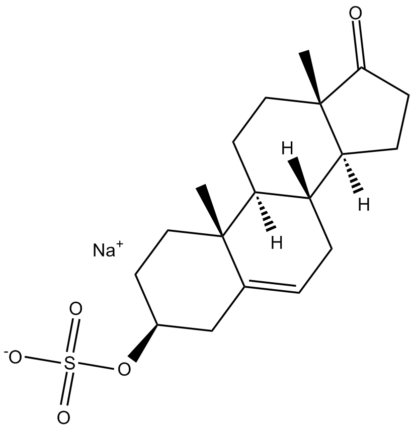 Dehydroepiandrosterone Sulfate (sodium salt)