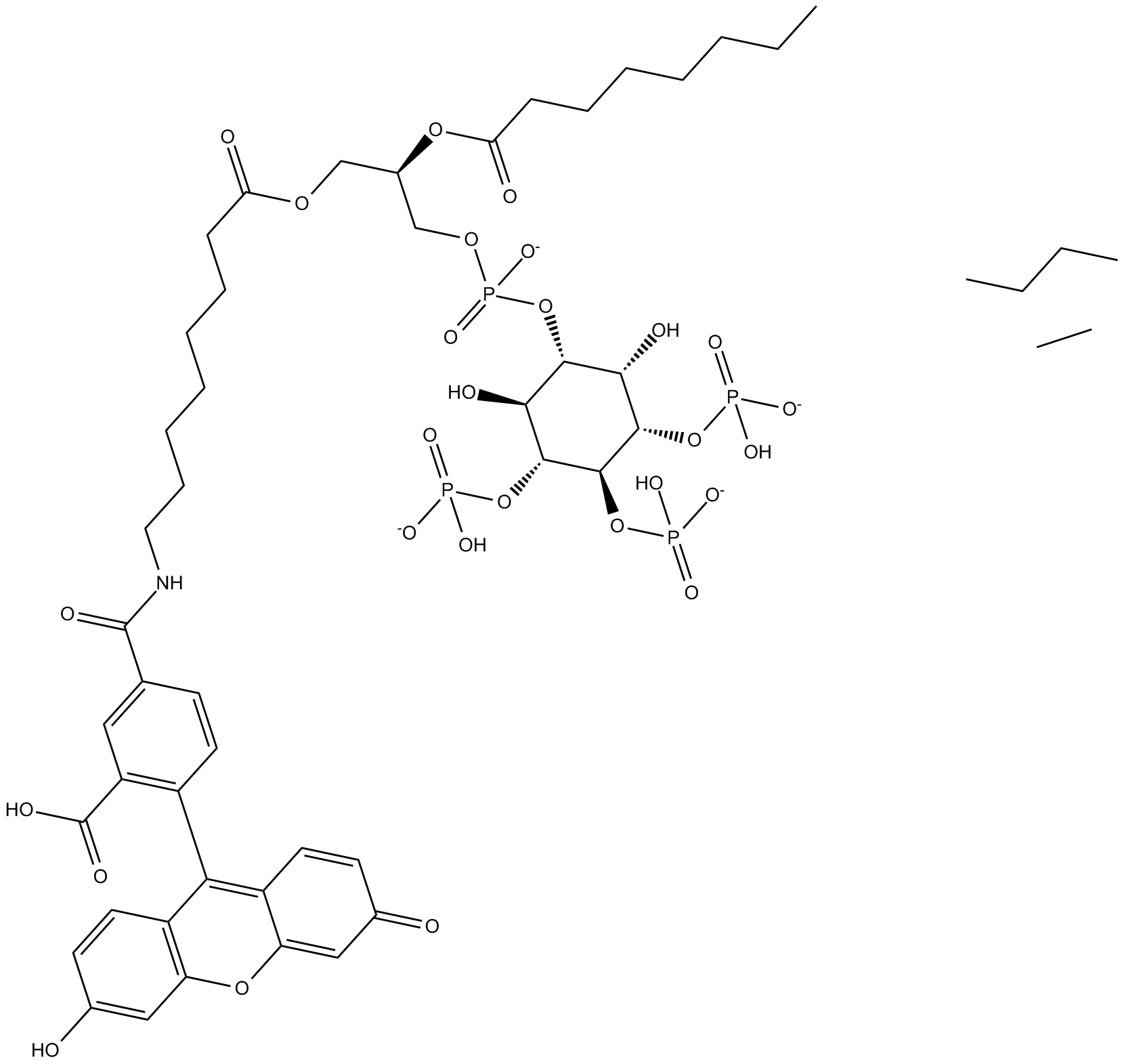 PtdIns-(3,4,5)-P3-fluorescein (ammonium salt)
