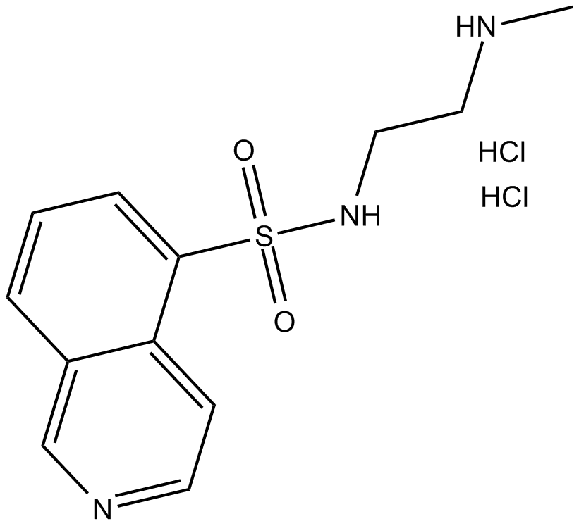 H-8 (hydrochloride)