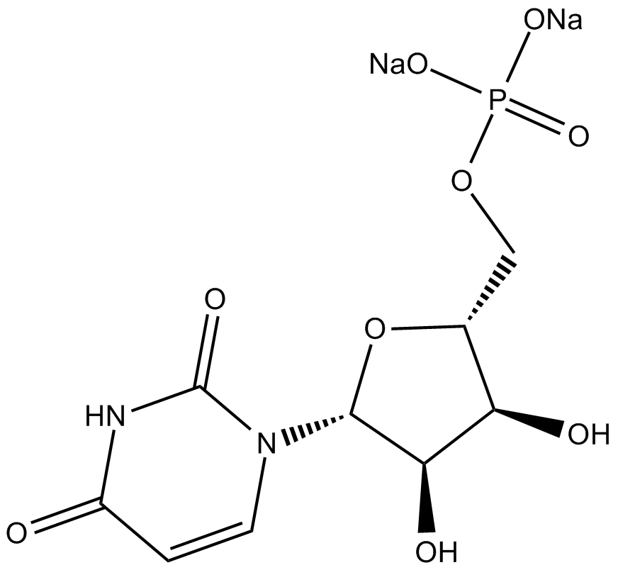 Uridine 5'-monophosphate disodium salt