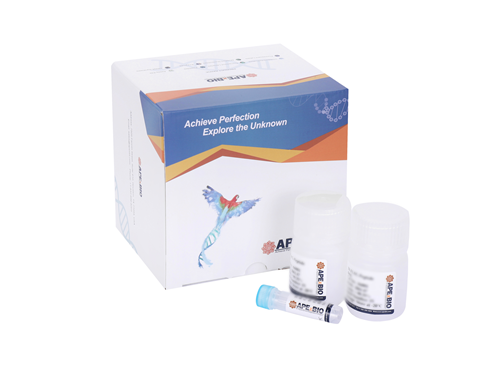 Annexin V-FITC/7-AAD Apoptosis Kit