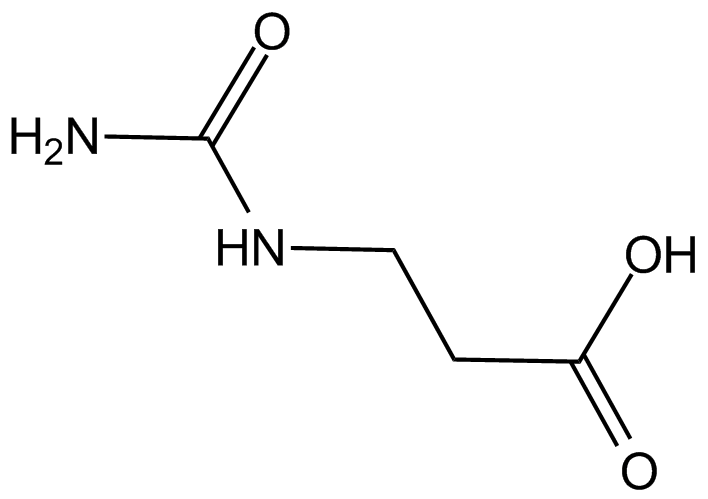 beta-Alanine metabolism