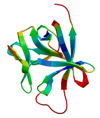 FGF-21, murine recombinant