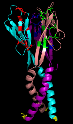 Resistin, human recombinant protein